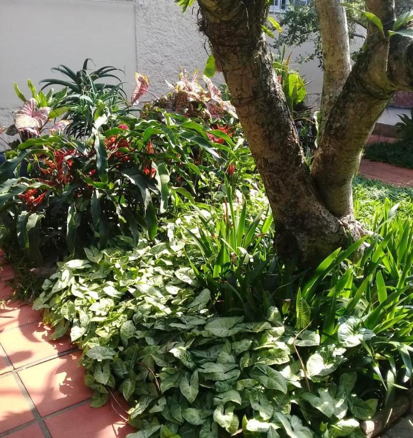 Hostel Nossa Casa Florianópolis المظهر الخارجي الصورة