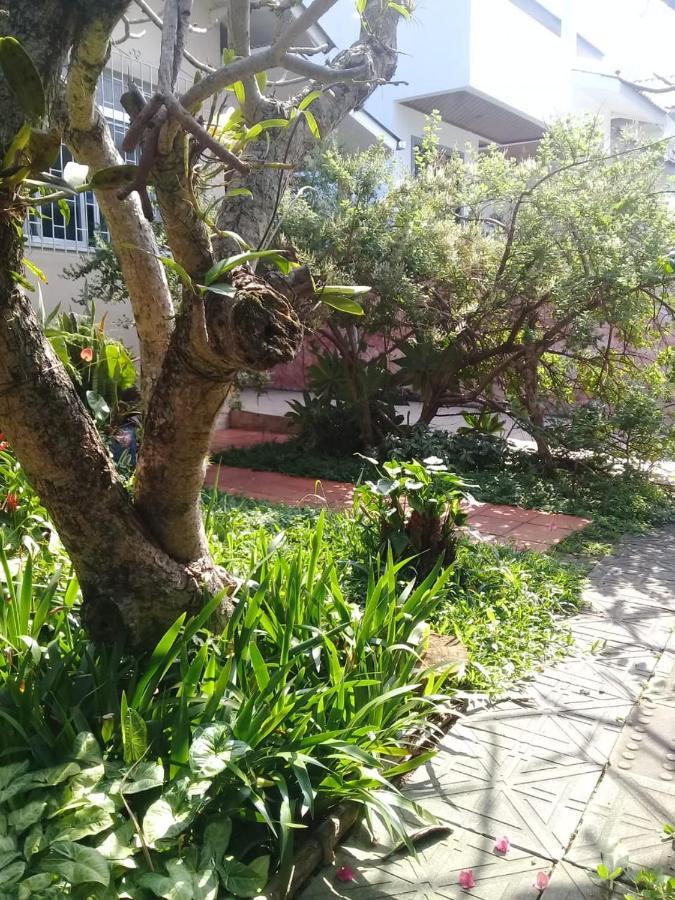 Hostel Nossa Casa Florianópolis المظهر الخارجي الصورة